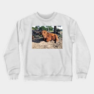 Scottish Highland Cattle Bull 2433 Crewneck Sweatshirt